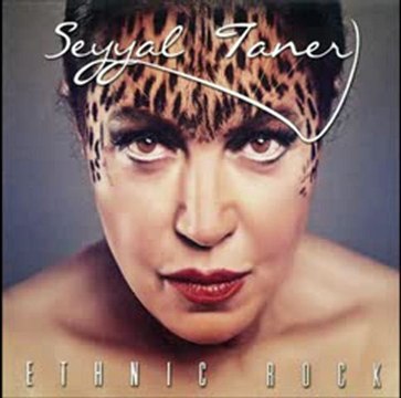 Seyyal Taner Sevda Zindanları