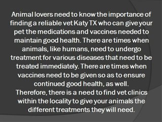 Vet Clinics for Your Beloved Pet