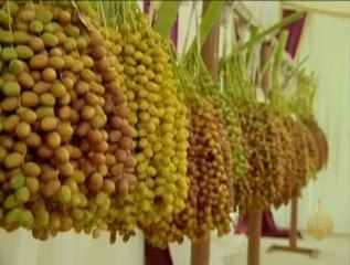 مهرجان ليوا للرطب في الأمارات