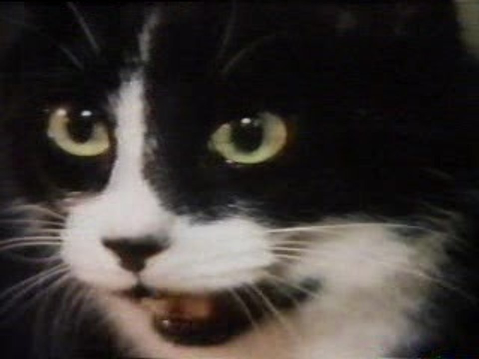 Stray Cats - Stray Cats Strut