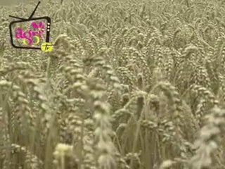 JT agri85TV du vendredi 13 juillet 2012