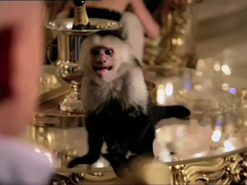 Californication : Interview entre David Duchovny et Pamela Adlon