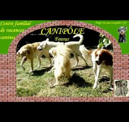 Tir à la corde à Canipôle