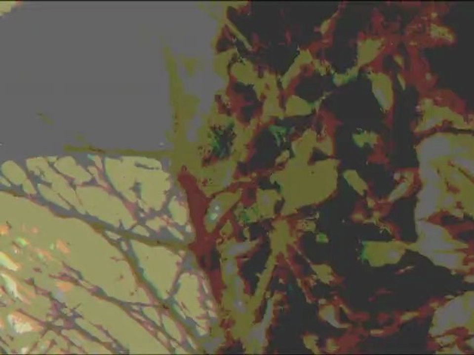 Migration Grus grus northbound, a tribute to Warhol's camouflages (and to Alain Jacquet)