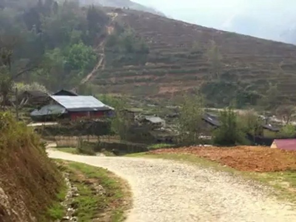 Paysage panoramique Vallée Ta Phin et Ma Tra (Région de Lao Cai_ proche de Sapa)