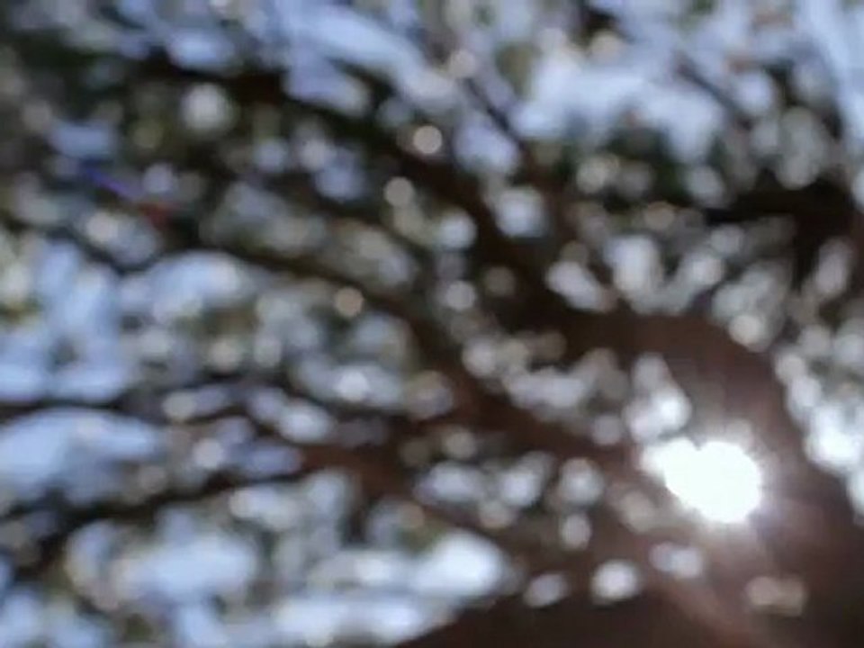 DG S