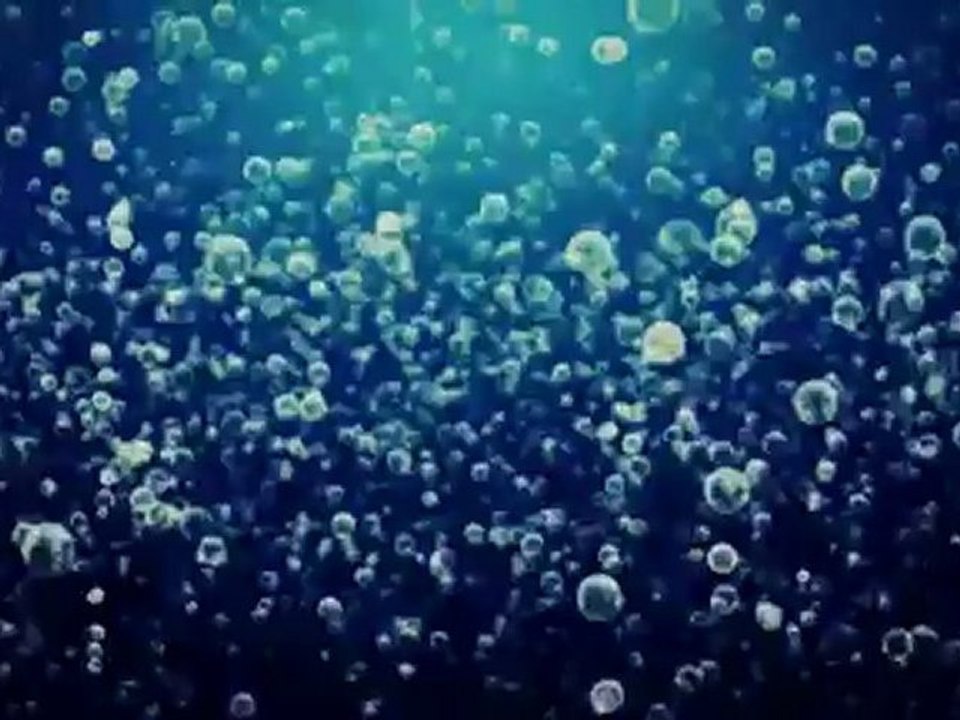 Houston Storm Flooding Clean Up