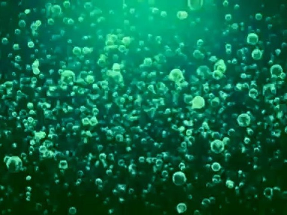 Houston Storm Damage Repair