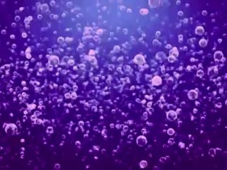 St. Claresville Storm Flooding Clean Up