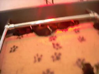 13 juillet 2012 : 2 jours