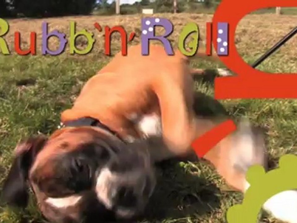 Rubb'n'Roll : Gummi-Spielzeug 100% Naturgummi