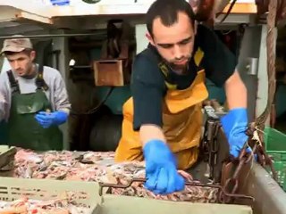 La pêche à la langoustine : 24h avec les pêcheurs