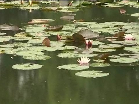 Giverny : les jardins de Monet aux bons soins d'un anglais