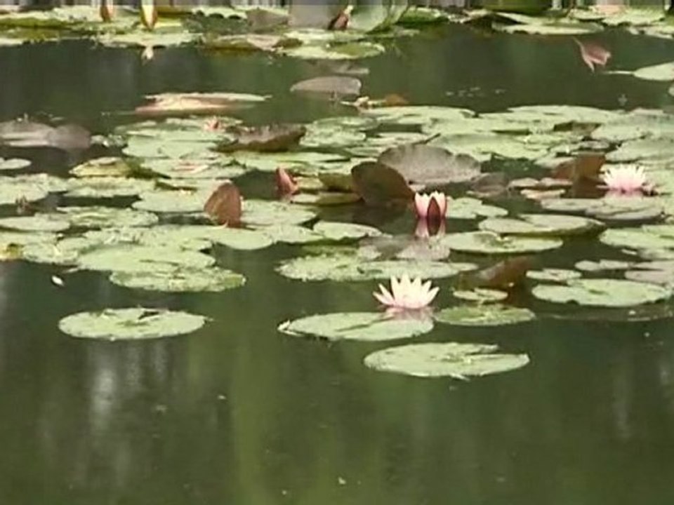Giverny : les jardins de Monet aux bons soins d'un anglais