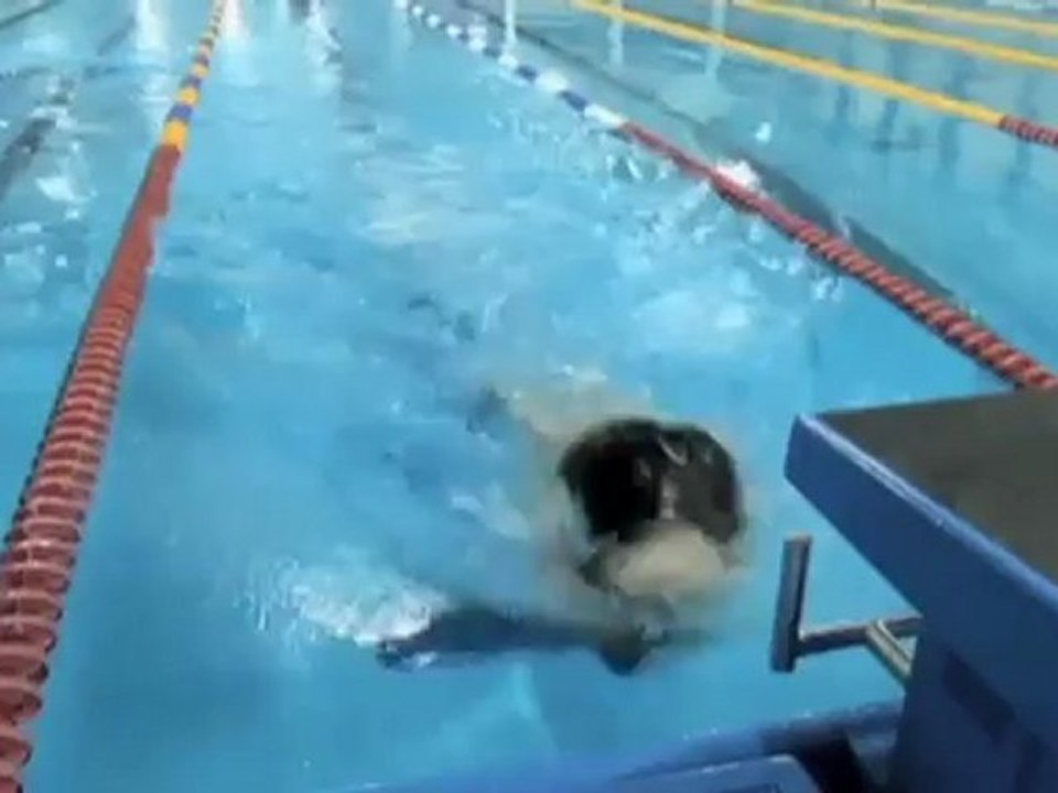 Historisch! saudische frauen werden olympionikinnen