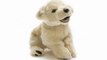 Peluche golden 27 cm