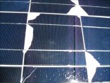 Cure Solar Panel EVA Film With The Sun - solar curing