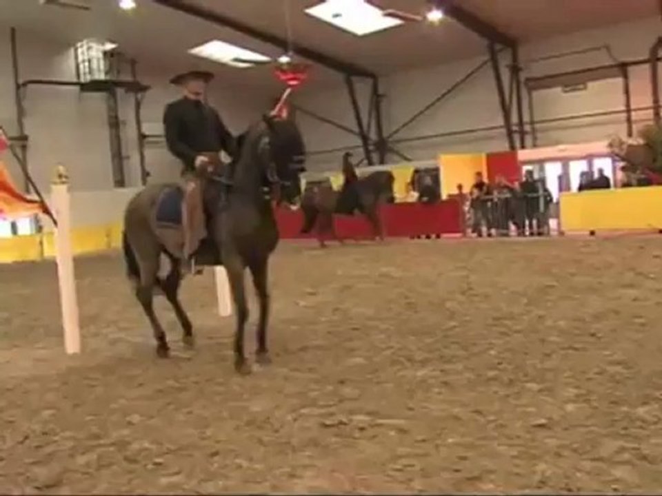Galop arrière