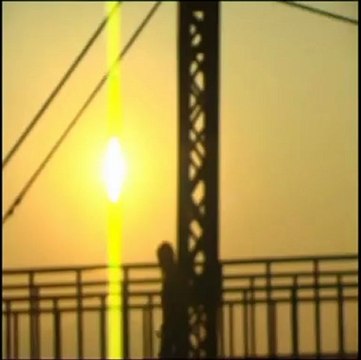 Turan Şengül Martı