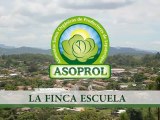 Documental Finca Escuela de Horticultura Orgánica - ASOPROL. Junio del 2012.