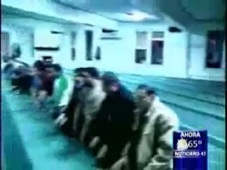 why latinos american accept islam