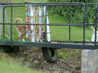 photos Kathe a nivelles