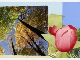 Tip Top Tree Service - 612-325-2277