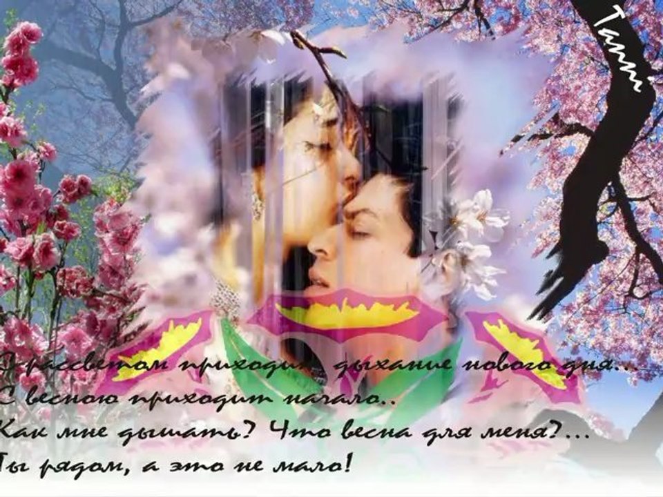 Shahrukh Khan @iamsrk my wallpaper