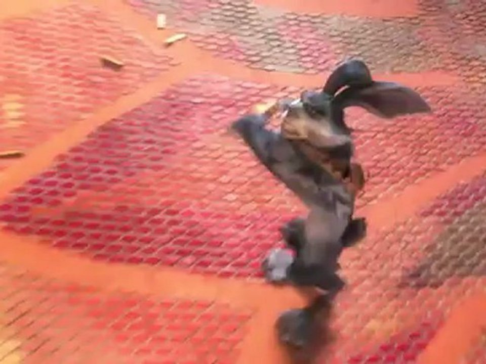 Die Hueter des Lichts - Trailer 2 (Deutsch)