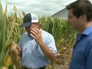 US Midwest corn-belt hit by drought