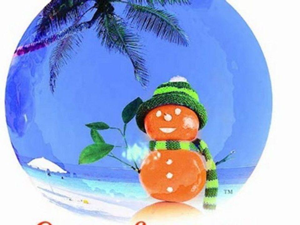 Web Site Design Stuart Florida (772) 497-6696