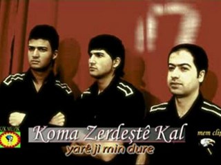 koma zerdeş
