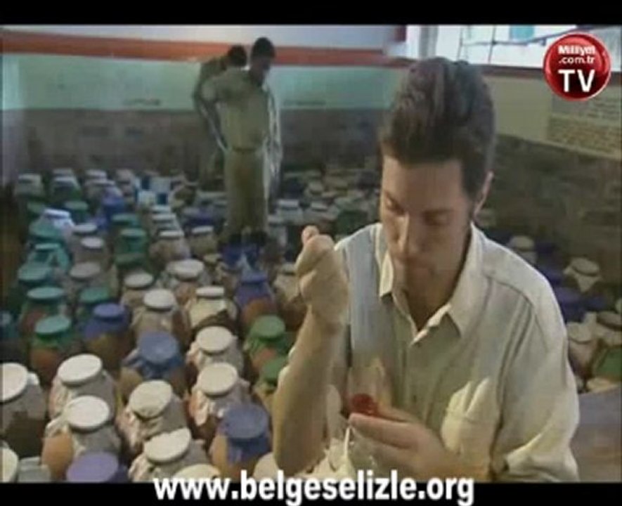 Yılanın zehri kanı bakın ne hale getiriyor?