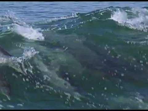 erghen deda hip hop remix - The magic of Bulgarian voices & music