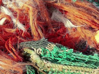 VENDANGES MELAC 2012 : QUAND LA (BELLE) MER MONTE !