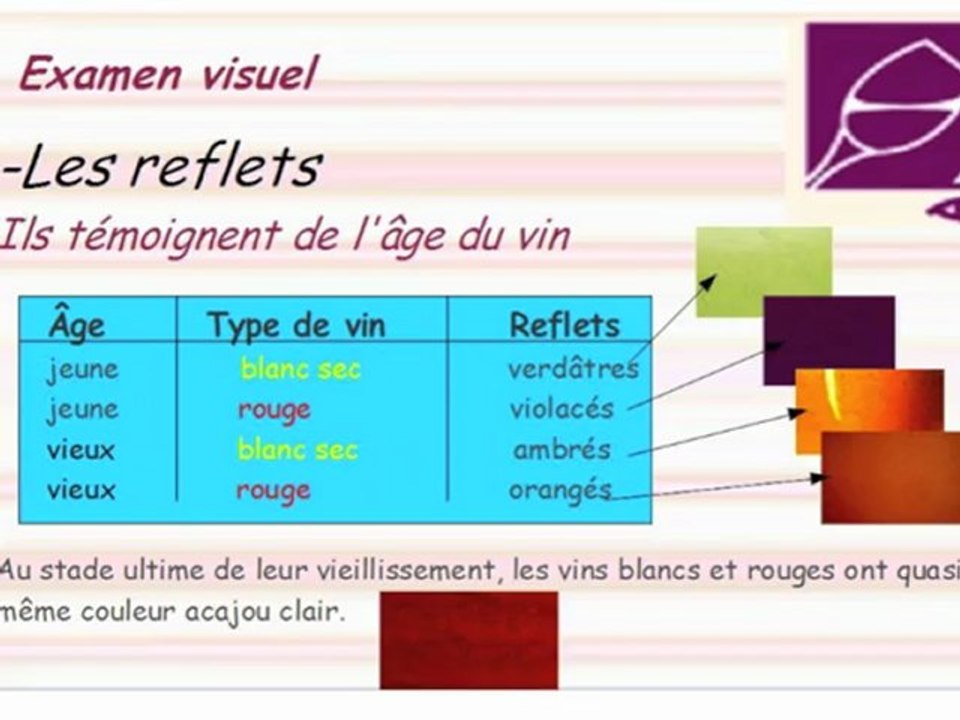 Cours de Dégustation 3/5. L'Examen Visuel. Crémant de Bourgogne Biologique Bruno Dangin. TV Bio'Bulle.