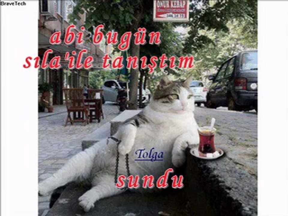 Çiçek Abbas film müziği & resim slayt