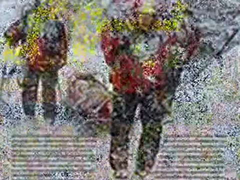 First Aid awards ceremony hosted by St. John’s Ambulance 0151 650 5650