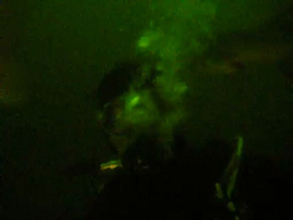 Esturgeon Becon les granits 07.12