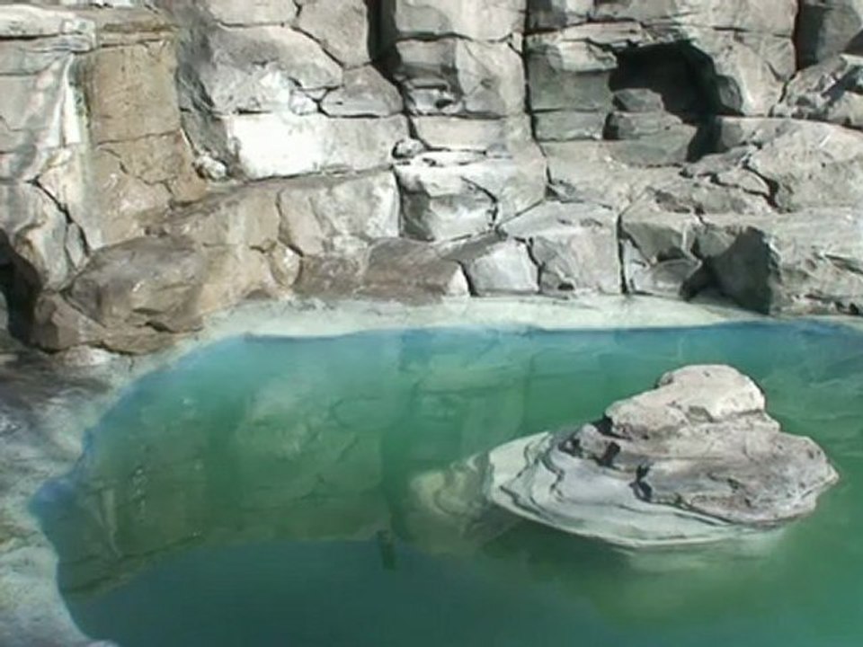 NATURALEZA MISTERIOSA EDEN MORFAUX