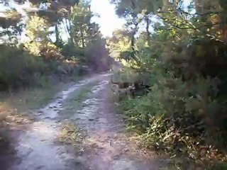 Redden à la Salette mi-07-2012 n° 1