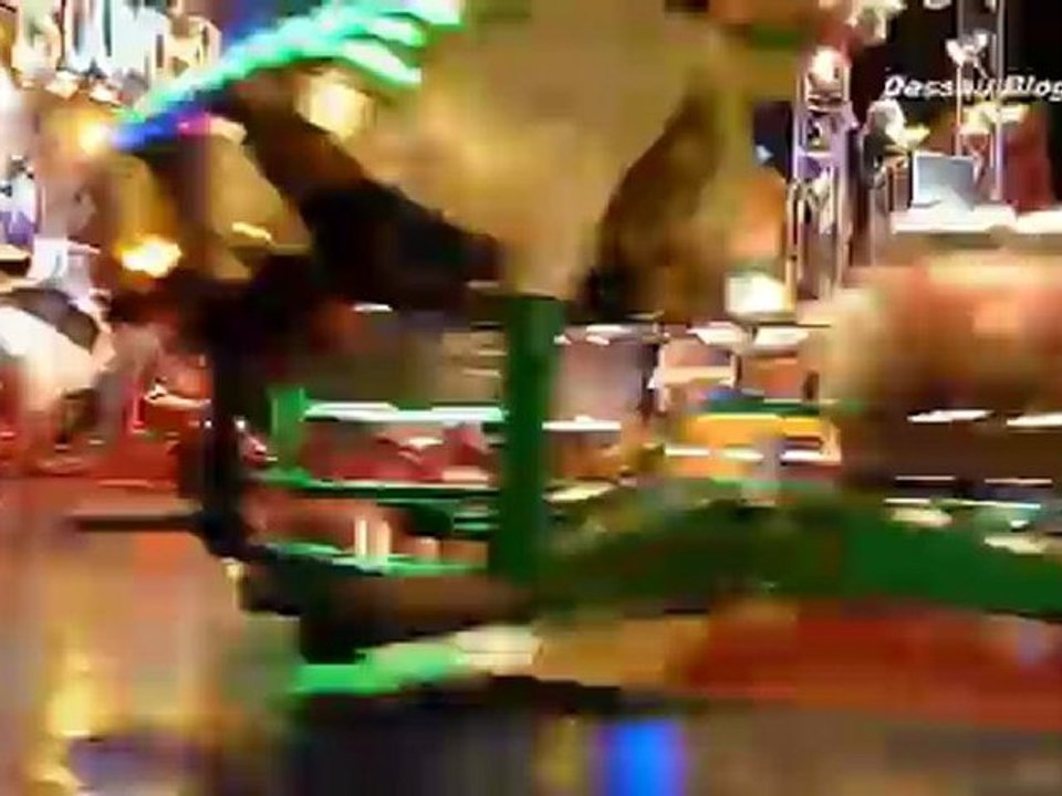 Sachsen-Anhalt-Tag 2012 in Dessau-Roßlau