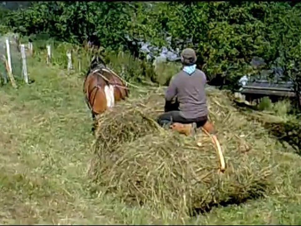 (Episode 4) Faire ses foins avec un cheval et une motofaucheuse, c'est possible...
