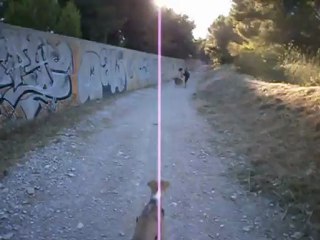 Redden à la Salette 13/07/2012 n° 7