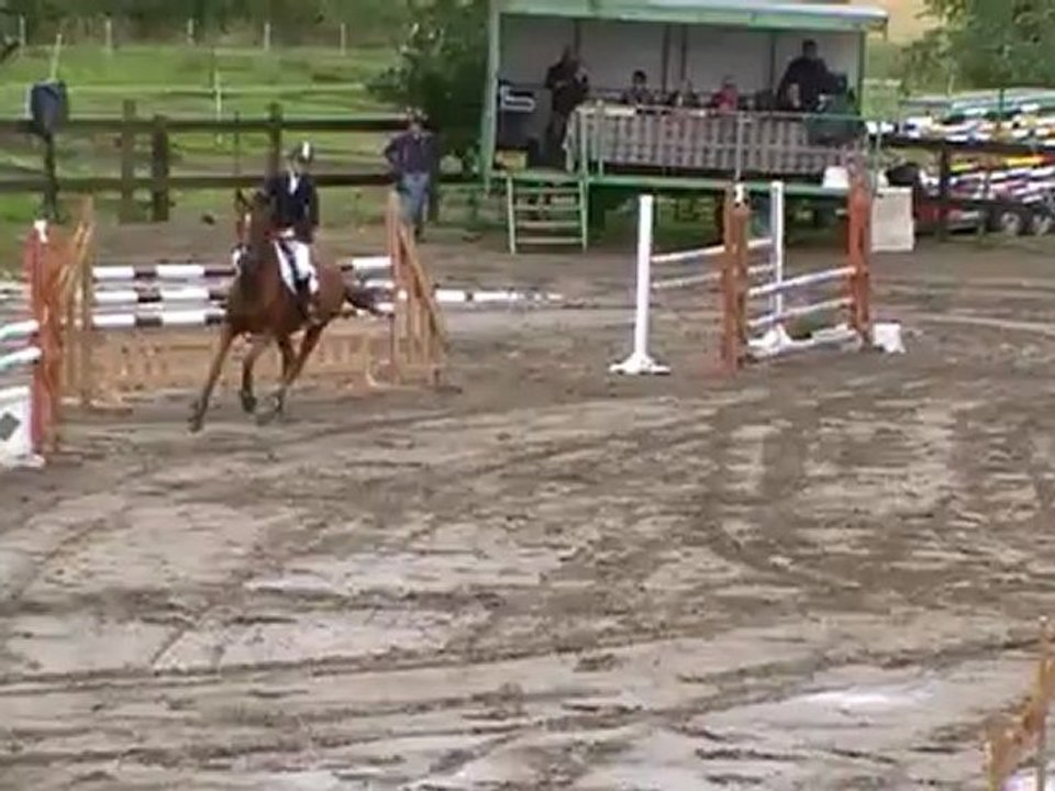 lutinegp115hazebrouck140712