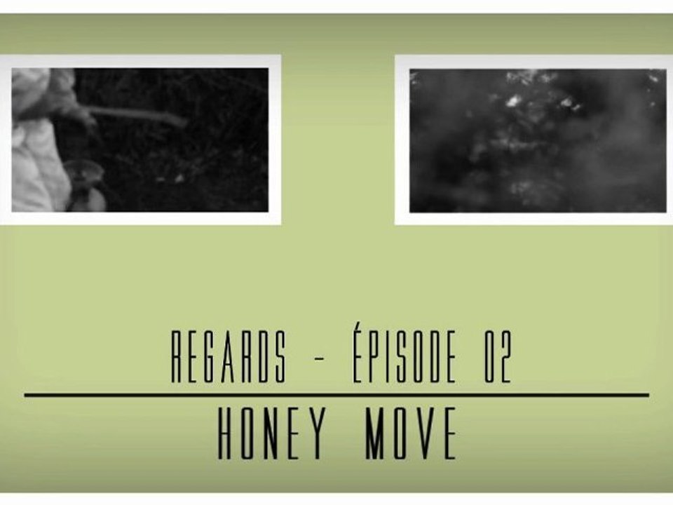 Regards - Episode 2  # Honey Move