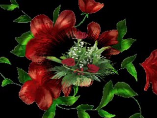 SİNAN ÖZEN EDİRNE DEN KUŞ UÇSUN