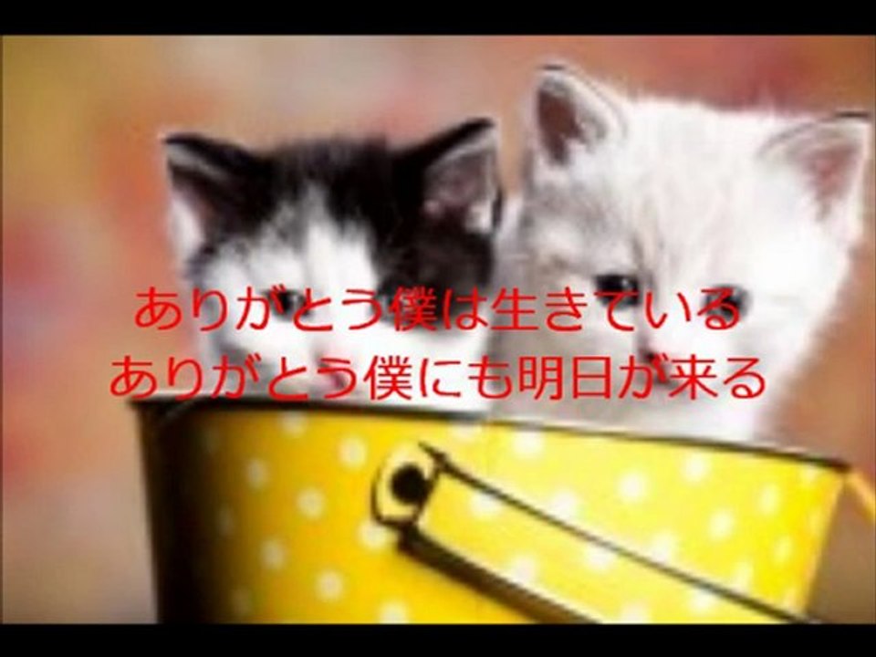 ありがとう　～生かされて～