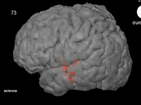 Efecto cocktail party: Cerebro y seleccion de sonidos