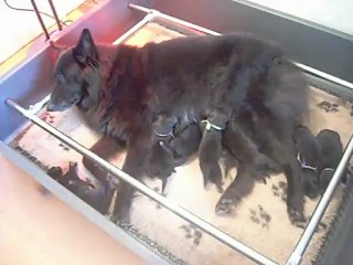 15 juillet 2012 : 4 jours